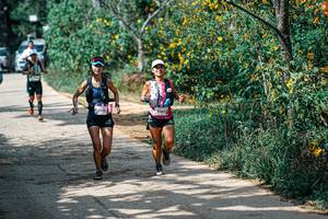 BIB: 
                            <button type="button" onclick="openModal(26145812)" class="btn btn-primary btn-sm float-right btn-popup" data-toggle="modal" data-target=".modal-high-quality">
                        <i class="fas fa-shopping-cart"></i> Add to Cart
                    </button>
                                            <button type="button" onclick="isThisMe(26145812, true)" class="btn btn-success btn-sm float-right btn-popup btn-isme hidden" data-toggle="tooltip" data-placement="bottom" title="นี่คือรูปของคุณใช่ไหม คลิกที่นี่เพื่อเอาเข้าอัลบั้ม">
                        <i class="fas fa-plus"></i> Add to album
                    </button>
                    <button type="button" onclick="isThisMe(26145812, false)" class="btn btn-warning btn-sm float-right btn-popup btn-isnotme hidden">
                        <i class="fas fa-ban"></i> Remove from album
                    </button>